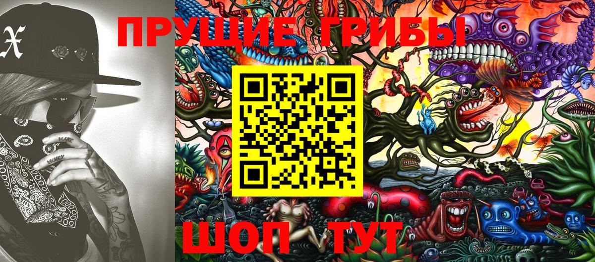 Галлюциногенные грибы Cubensis  Псилоцибиновые грибы Cubensis  Гуково  Вход с VPN 